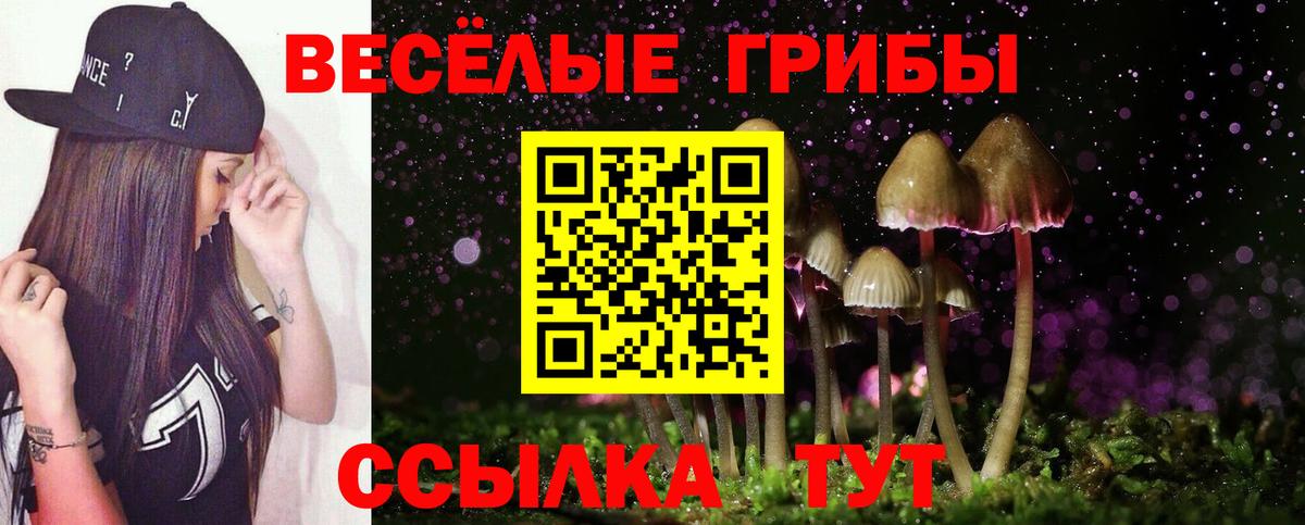 Галлюциногенные грибы Cubensis Пермь