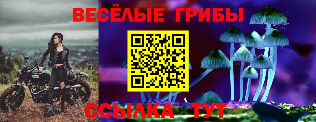Пермь  Псилоцибиновые грибы ЛСД  Вход с VPN  Галлюциногенные грибы ЛСД 